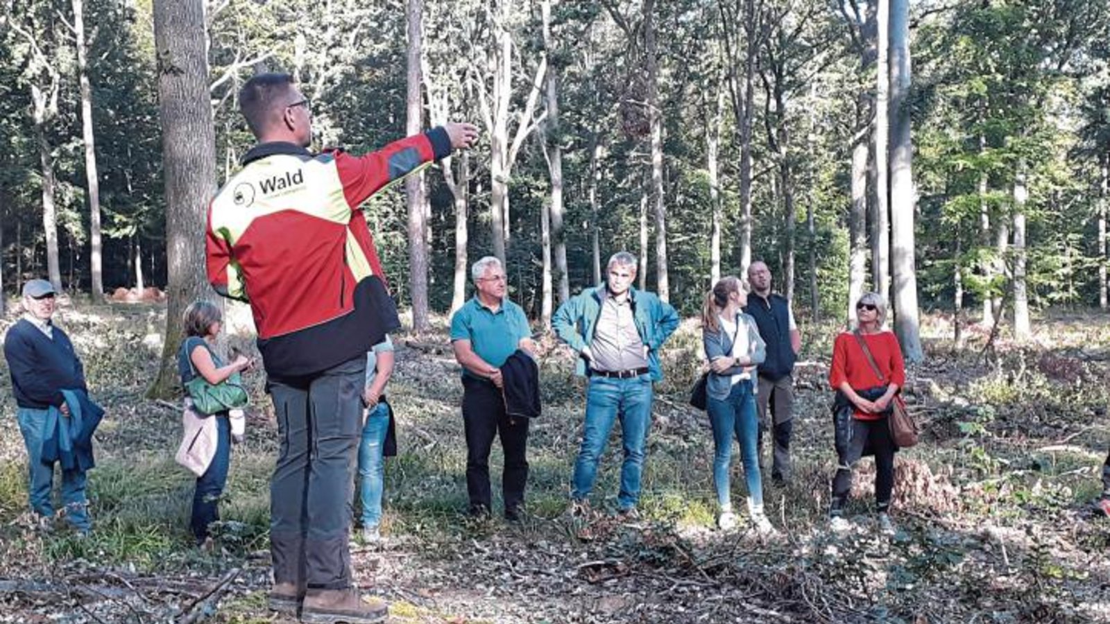 Revierförster Theo Wöhr erklärte den anwesenden Sachsenheimer Gemeinderäten, wie bei den Eichenbäumen Naturverjüngung im Wald umgesetzt wird. Foto: Glemser Revierförster Theo Wöhr erklärte den anwesenden Sachsenheimer Gemeinderäten, wie bei den Eichenbäumen Naturverjüngung im Wald umgesetzt wird. Foto: Glemser