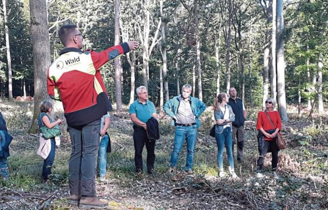 Revierförster Theo Wöhr erklärte den anwesenden Sachsenheimer Gemeinderäten, wie bei den Eichenbäumen Naturverjüngung im Wald umgesetzt wird.  Foto: Glemser