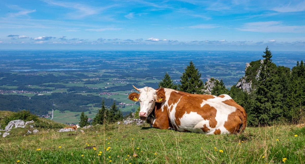 Lange bleiben dürfte das Sommer-Revival nicht - schon zum Wochenstart drohen wieder Wolken und Schauer.