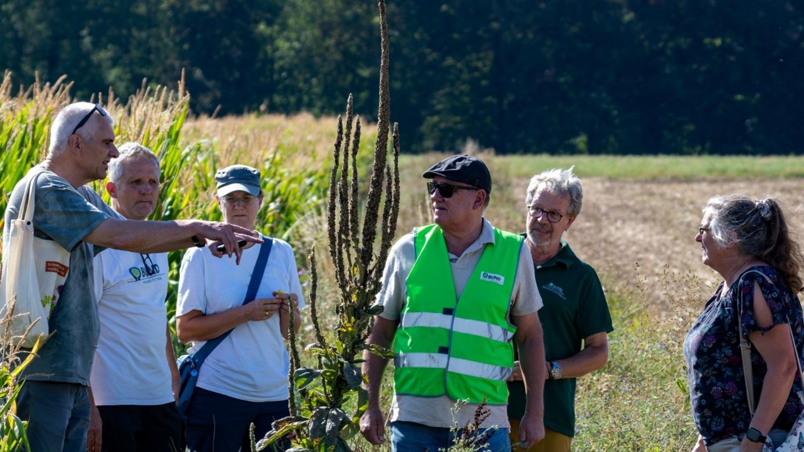 Vertreter des BUND Stromberg-Neckartal, der Kommunen Löchgau, Sachsenheim und Bietigheim-Bissingen treffen sich an dem Löchgauer Blühstreifen, um über die Zusammenarbeit in einem Biotopverbund für die Wildkatze zu sprechen. Foto: Kalb