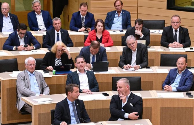 Die AfD stellt die größte Oppositionspartei im Landtag von Baden-Württemberg.<span class='image-autor'>Bernd Weißbrod/dpa</span>