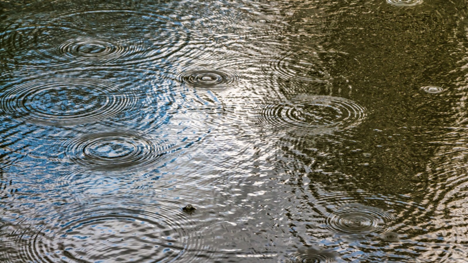Warum regnet es gerade so viel?Foto: Tatiana Kuklina / shutterstock.com Warum regnet es gerade so viel?Foto: Tatiana Kuklina / shutterstock.com