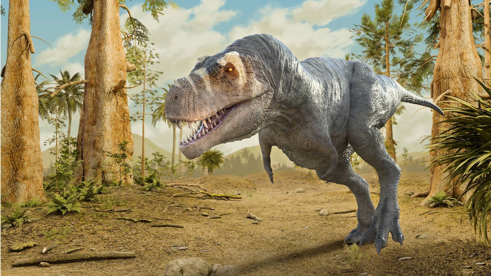Das Schienenbein des Dinosuariers stammt aus der Kreidezeit vor etwa 74 Millionen Jahren und könnte zu einem frühen Vorfahrren des T. rex (Symbolbild) gehört haben.Foto: Imago/Zoonar Das Schienenbein des Dinosuariers stammt aus der Kreidezeit vor etwa 74 Millionen Jahren und könnte zu einem frühen Vorfahrren des T. rex (Symbolbild) gehört haben.Foto: Imago/Zoonar