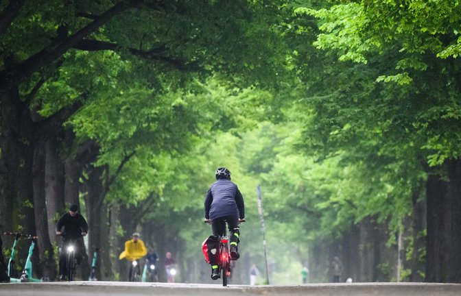 Fahrradfahrer sind bei Regen auf einer Allee am Maschsee in Hannover unterwegs.<span class='image-autor'>Foto: dpa/Julian Stratenschulte</span>