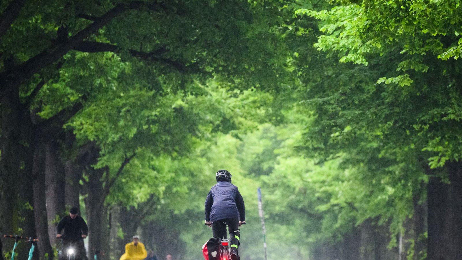 Fahrradfahrer sind bei Regen auf einer Allee am Maschsee in Hannover unterwegs.Foto: dpa/Julian Stratenschulte Fahrradfahrer sind bei Regen auf einer Allee am Maschsee in Hannover unterwegs.Foto: dpa/Julian Stratenschulte