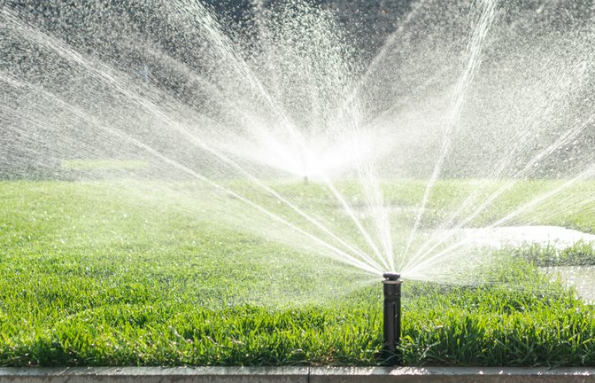 Kann der Rasen verbrennen, wenn man ihn mittags bewässert?<span class='image-autor'>Foto: Sashko / shutterstock.com</span>