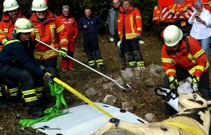 Mit vereinten Kräften wird der Pferdedummy herausgezogen. <span class='image-autor'>Foto: Stahlfeld</span>