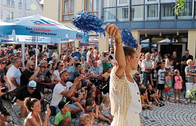 Regieanweisung für die Kinder auf der Festbühne beim Sersheimer Luggelesfest. Fotos: Bögel