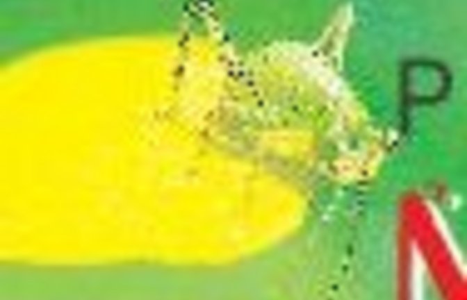 Phaenomene
