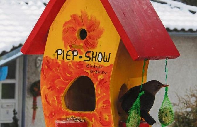 Eine Amsel besucht dieses Vogelhäuschen in Häfnerhaslach. Foto: E. Lorch