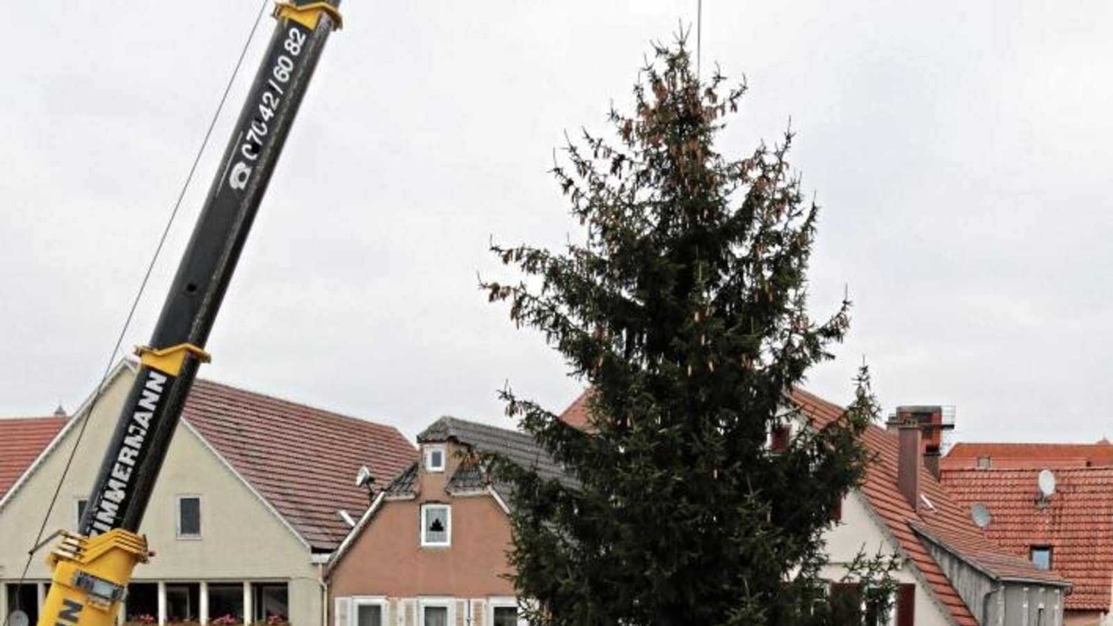 Der Weihnachtsbaum schwebt auf dem Vaihinger Marktplatz ein. Foto: Bögel