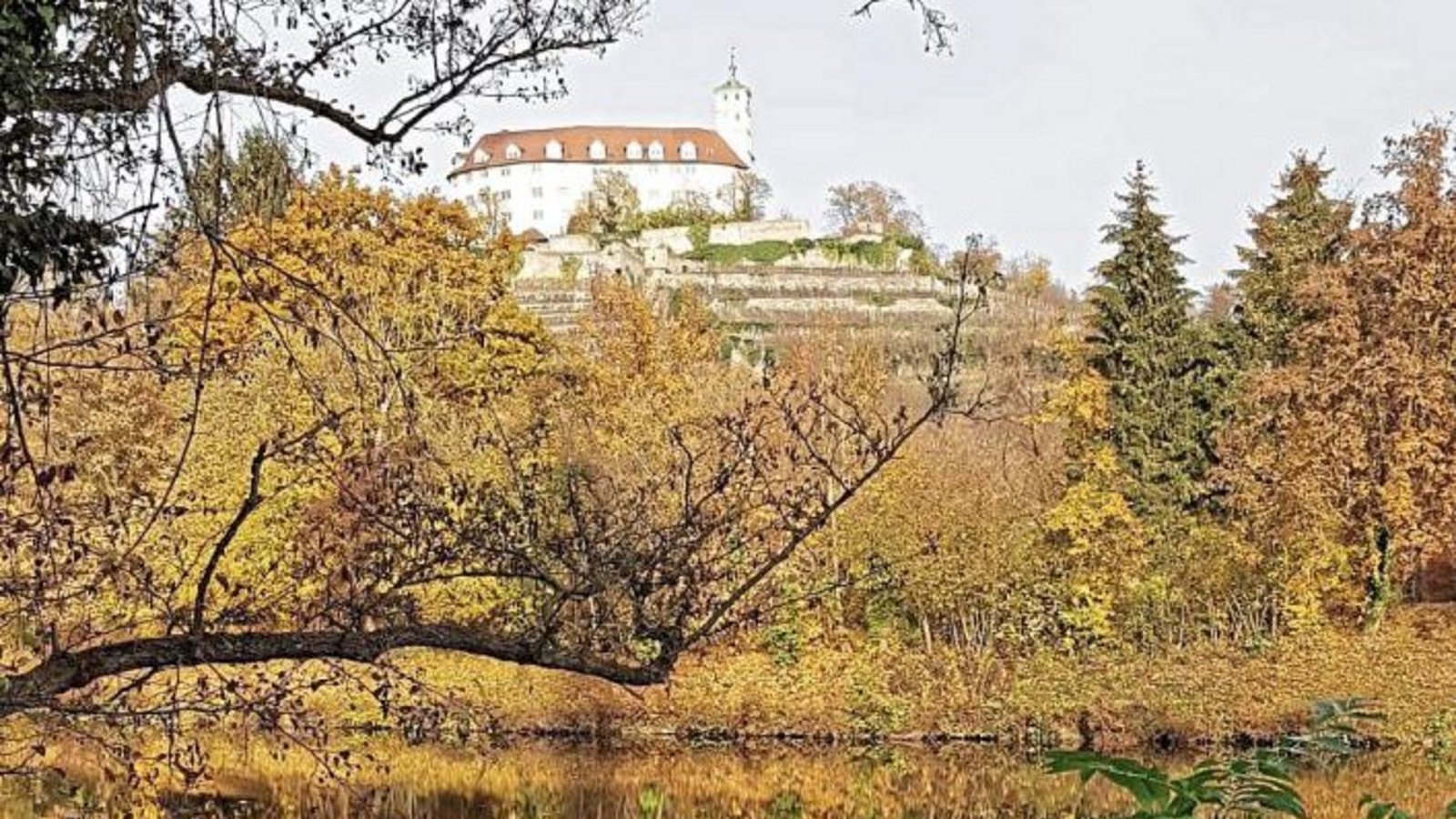 Gisela Warner hat den „Indian Summer“ in Vaihingen entdeckt.