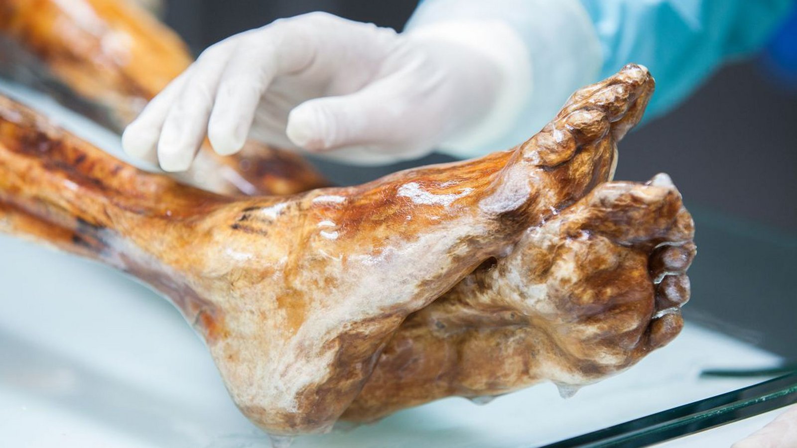 Die Mumie des Ötzi wird in einer speziell entwickelten Kühlzelle bei minus 6 Grad und 99 Prozent Luftfeuchtigkeit gelagert und regelmäßig mit Wasser besprüht, um einem möglichen Feuchtigkeitsverlust entgegenzuwirken.Foto: Marion Lafogler/South Tyrol Museum of Archaeology/Eurac Research/dpa