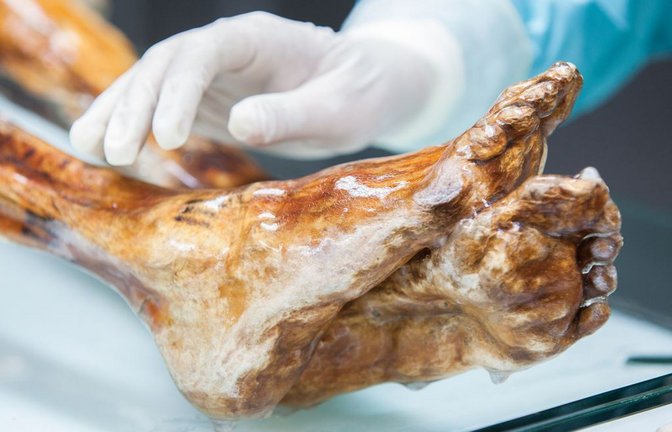Die Mumie des Ötzi wird in einer speziell entwickelten Kühlzelle bei minus 6 Grad und 99 Prozent Luftfeuchtigkeit gelagert und regelmäßig mit Wasser besprüht, um einem möglichen Feuchtigkeitsverlust entgegenzuwirken.<span class='image-autor'>Foto: Marion Lafogler/South Tyrol Museum of Archaeology/Eurac Research/dpa</span>