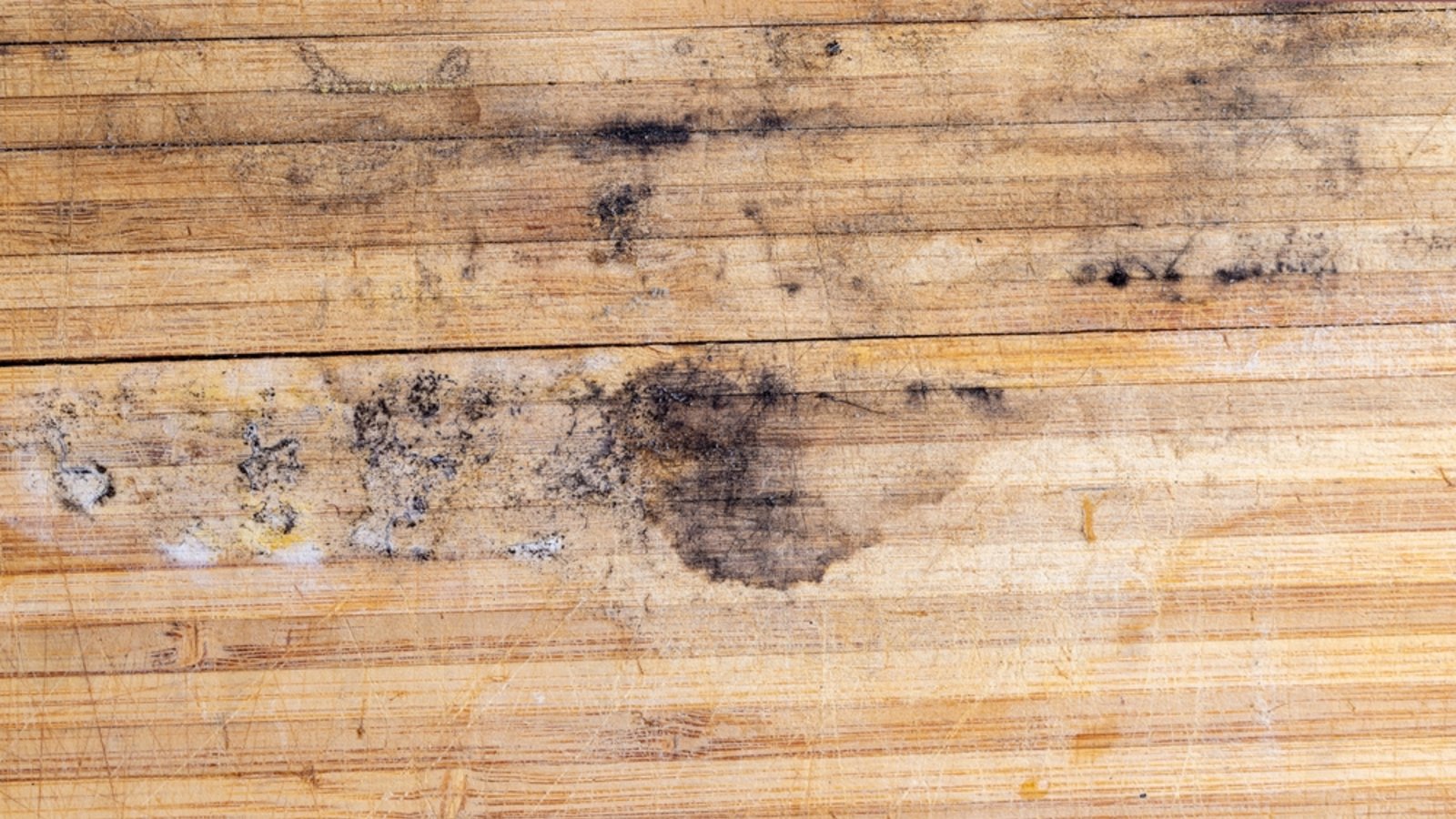 Neun hilfreiche Tipps, um Schimmel von Holz zu entfernen.Foto: Rsooll / Shutterstock.com