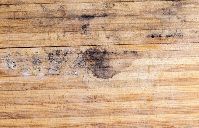Neun hilfreiche Tipps, um Schimmel von Holz zu entfernen.<span class='image-autor'>Foto: Rsooll / Shutterstock.com</span>