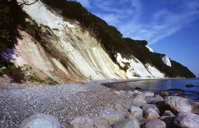 Meist ist Rendzina von Wald bedeckt. An Rügens Kreidefelsen ist der Boden gut zu sehen.<span class='image-autor'>Foto: Imago/Klaus Rose</span>