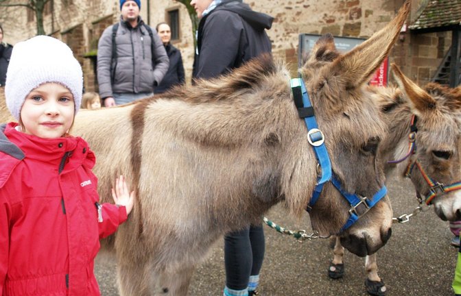 Besucherin Amelie nähert sich auf dem Klosterplatz behutsam dem Esel Anton.  <span class='image-autor'>Foto: Filitz</span>