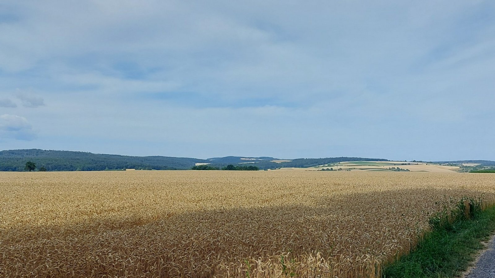 Schier unendliche Weiten tun sich vor den Wanderern auf. Fotos: Blessing