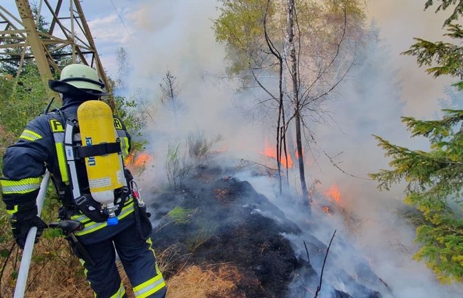 Insgesamt waren Hunderte von Feuerwehrleuten im Einsatz.<span class='image-autor'>Christian Klemm/dpa</span>