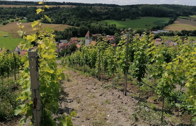 Blick auf Häfnerhaslach: Offenbar während eines Streits ist ein 58-jähriger Einwohner am Samstag tödlich verletzt worden. <span class='image-autor'>Foto: Archiv</span>