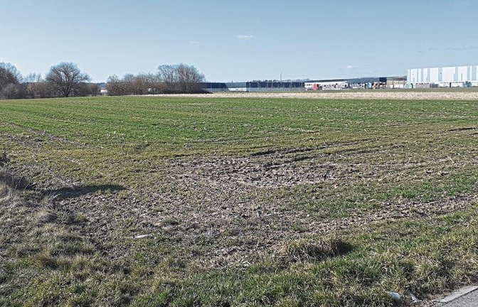 Das Gelände der „Alten Landebahn“ im Gewerbepark Eichwald und seine mögliche Erschließung ist auch weiterhin Gegenstand der Diskussionen im Sersheimer Gemeinderat. Foto: Glemser