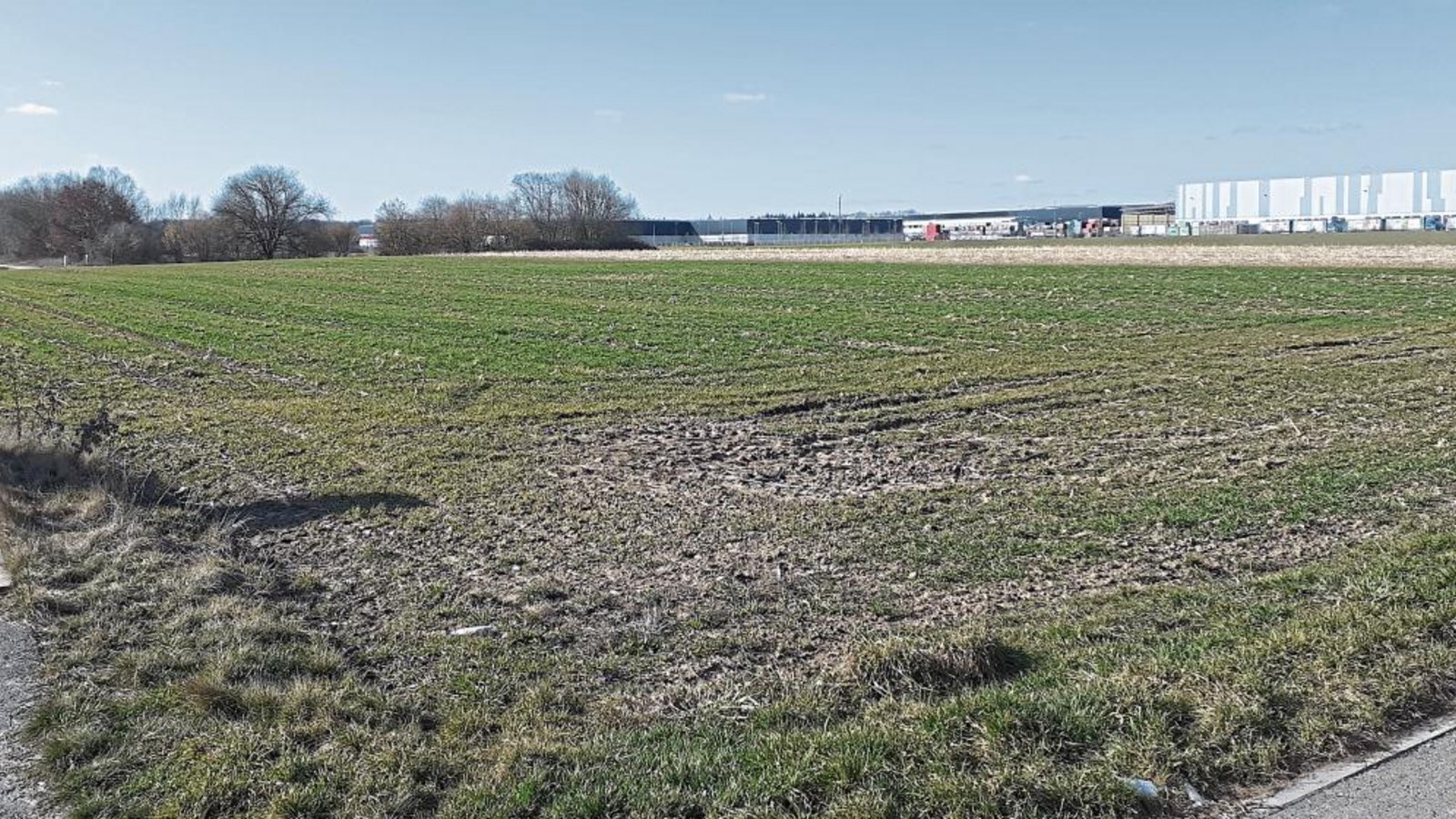 Das Gelände der „Alten Landebahn“ im Gewerbepark Eichwald und seine mögliche Erschließung ist auch weiterhin Gegenstand der Diskussionen im Sersheimer Gemeinderat. Foto: Glemser Das Gelände der „Alten Landebahn“ im Gewerbepark Eichwald und seine mögliche Erschließung ist auch weiterhin Gegenstand der Diskussionen im Sersheimer Gemeinderat. Foto: Glemser