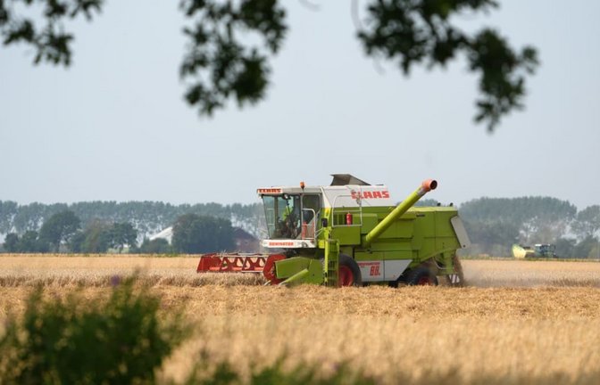 Die Getreideernte in Deutschland wird in diesem Jahr wohl besonders mager ausfallen (Symbolfoto).<span class='image-autor'>Marcus Brandt/dpa</span>
