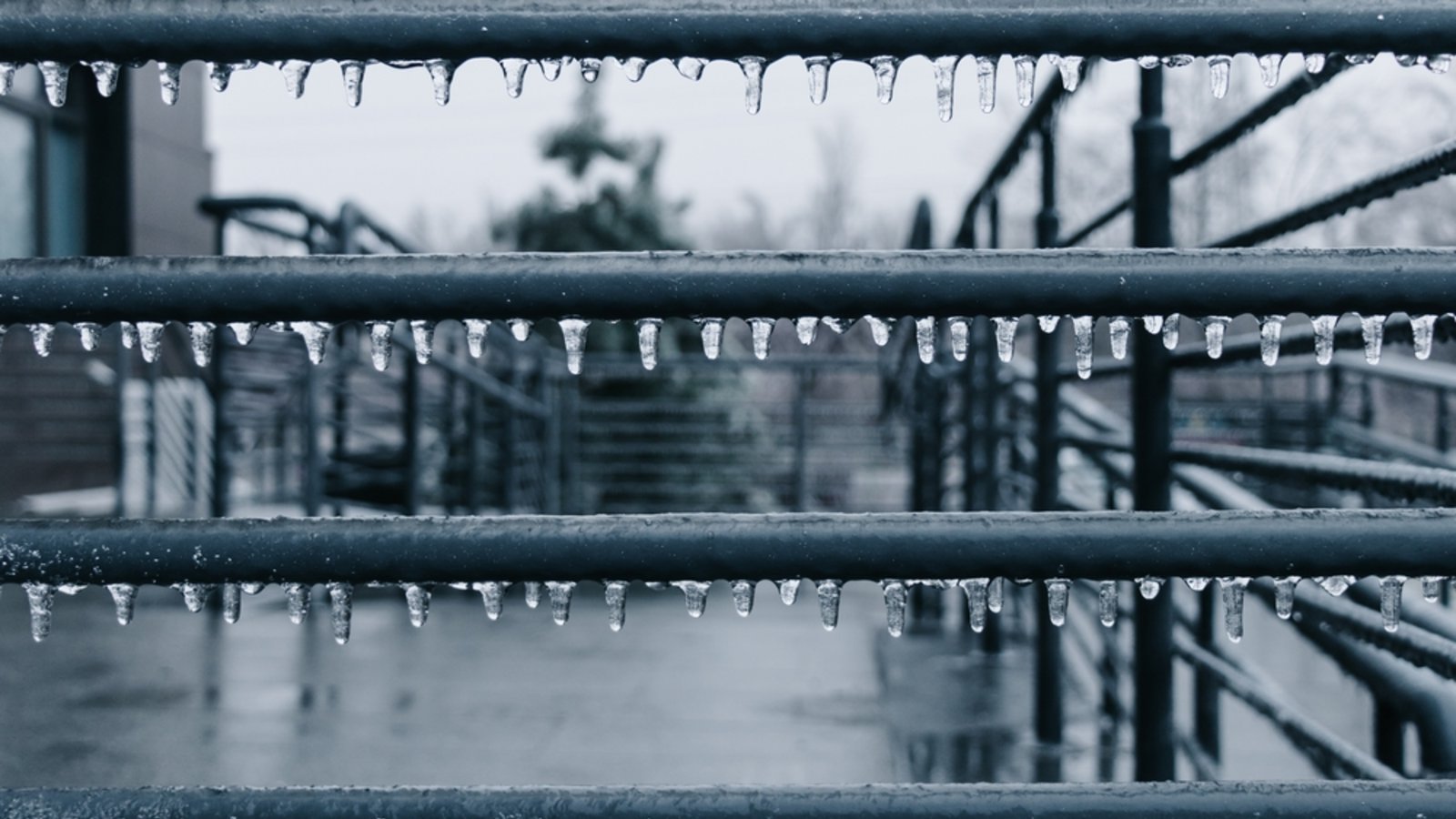 Der Eisregen hinterlässt gefährliche Eisschichten.Foto: Svitlana Ozirna / shutterstock.com