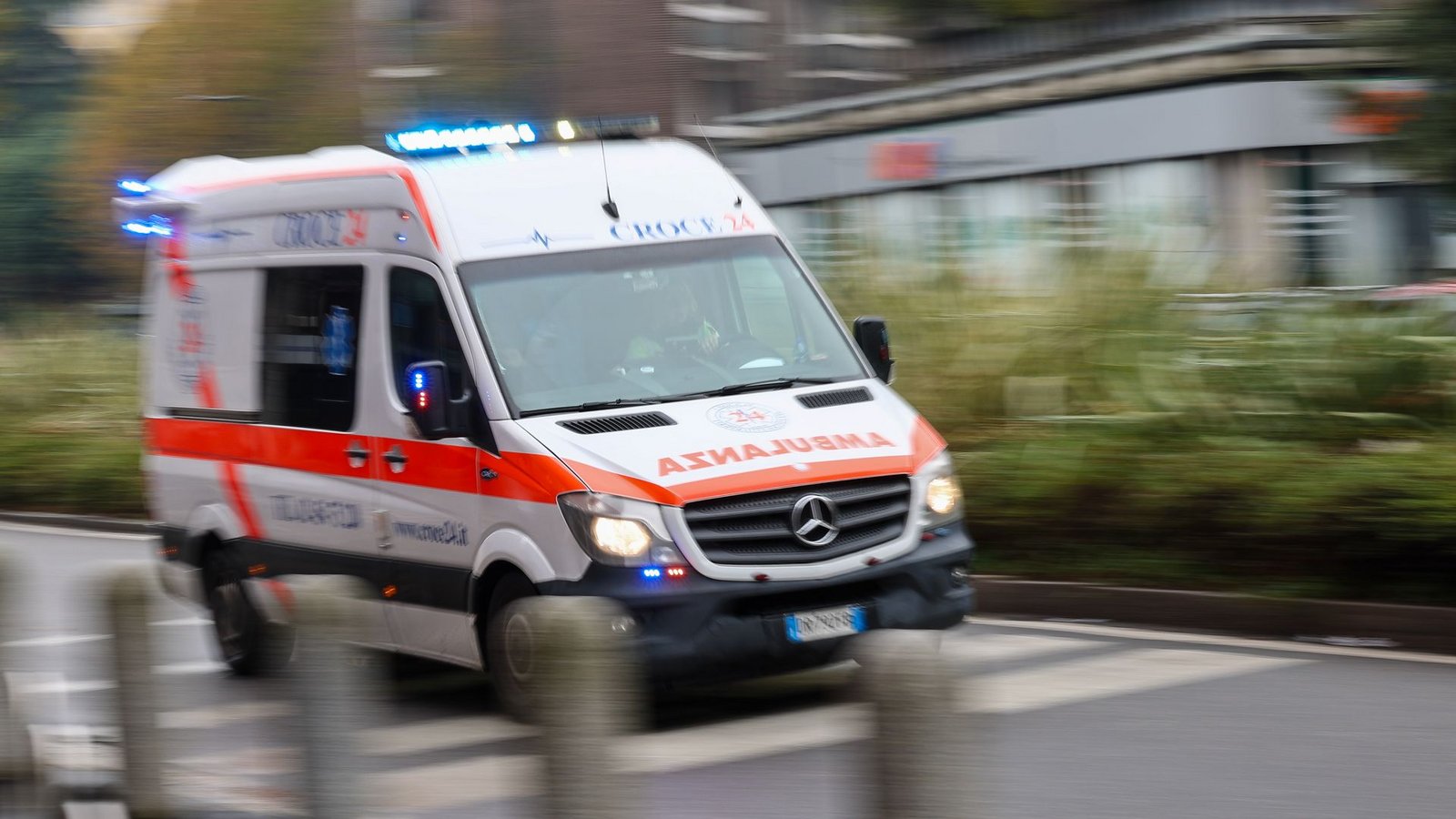 In Mecklenburg-Vorpommern ist eine Erkrankung mit dem gefährlichen Bornavirus nachgewiesen worden. Es kann nach Behördenangaben von Feldspitzmäusen auf den Menschen übertragen werden. (Symbolbild)Foto: Jan Woitas/dpa