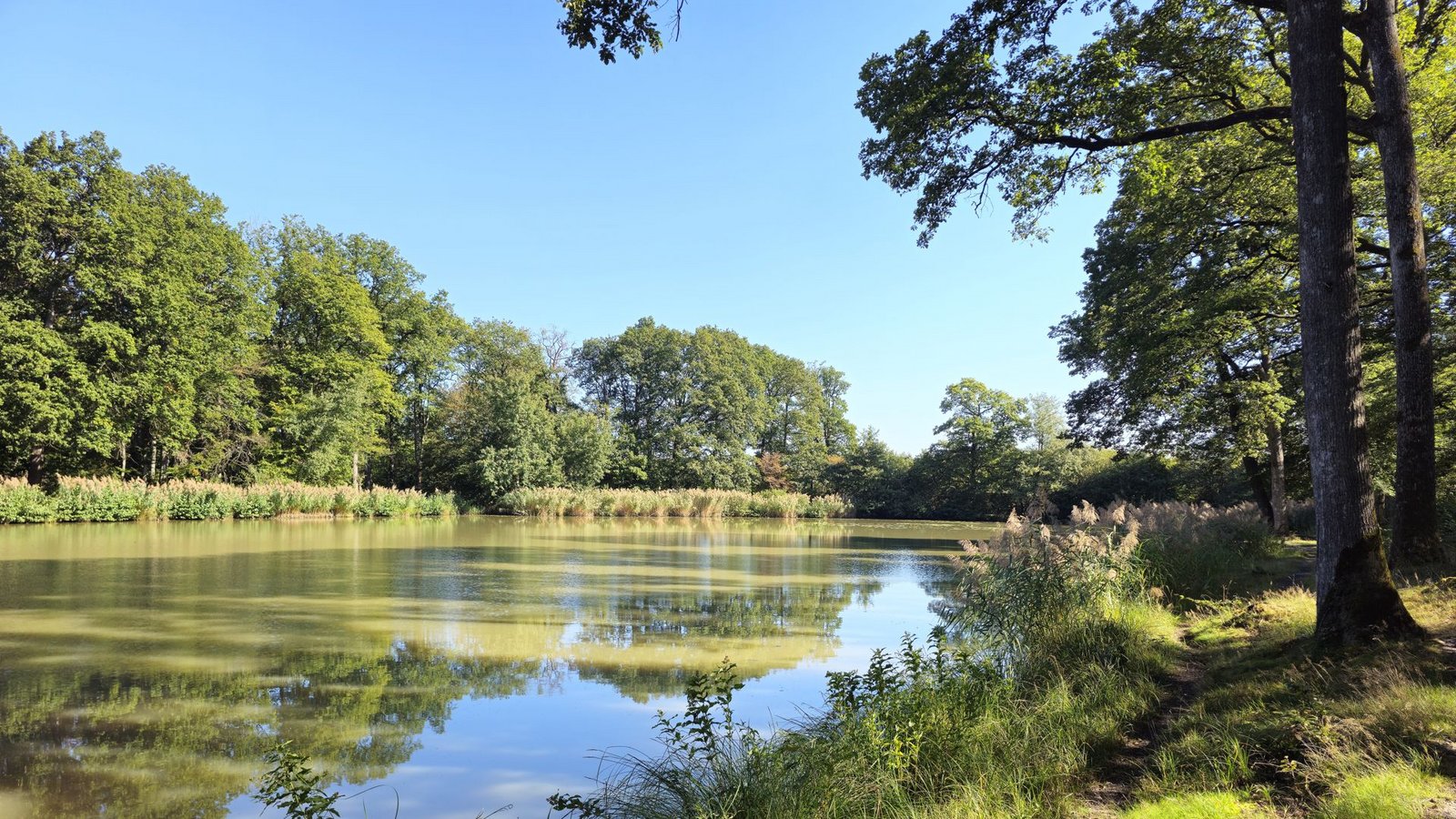 Am idyllischen Hamberger See lässt sich‘s gut rasten.Foto: Dieter Buck Am idyllischen Hamberger See lässt sich‘s gut rasten.Foto: Dieter Buck