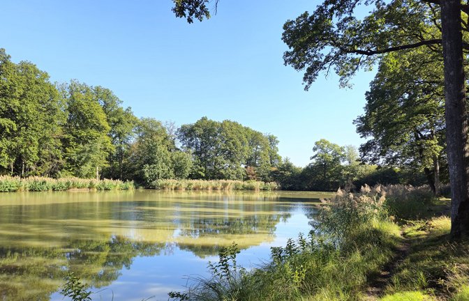 Am idyllischen Hamberger See lässt sich‘s gut rasten.<span class='image-autor'>Foto: Dieter Buck</span>