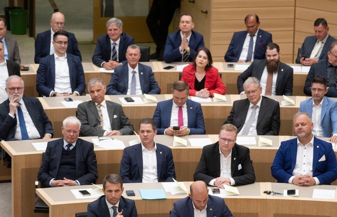 Abgeordnete der AfD nehmen an der konstituierenden Sitzung des Landtags Baden-Württemberg teil.<span class='image-autor'>Foto: Marijan Murat/dpa/Marijan Murat</span>