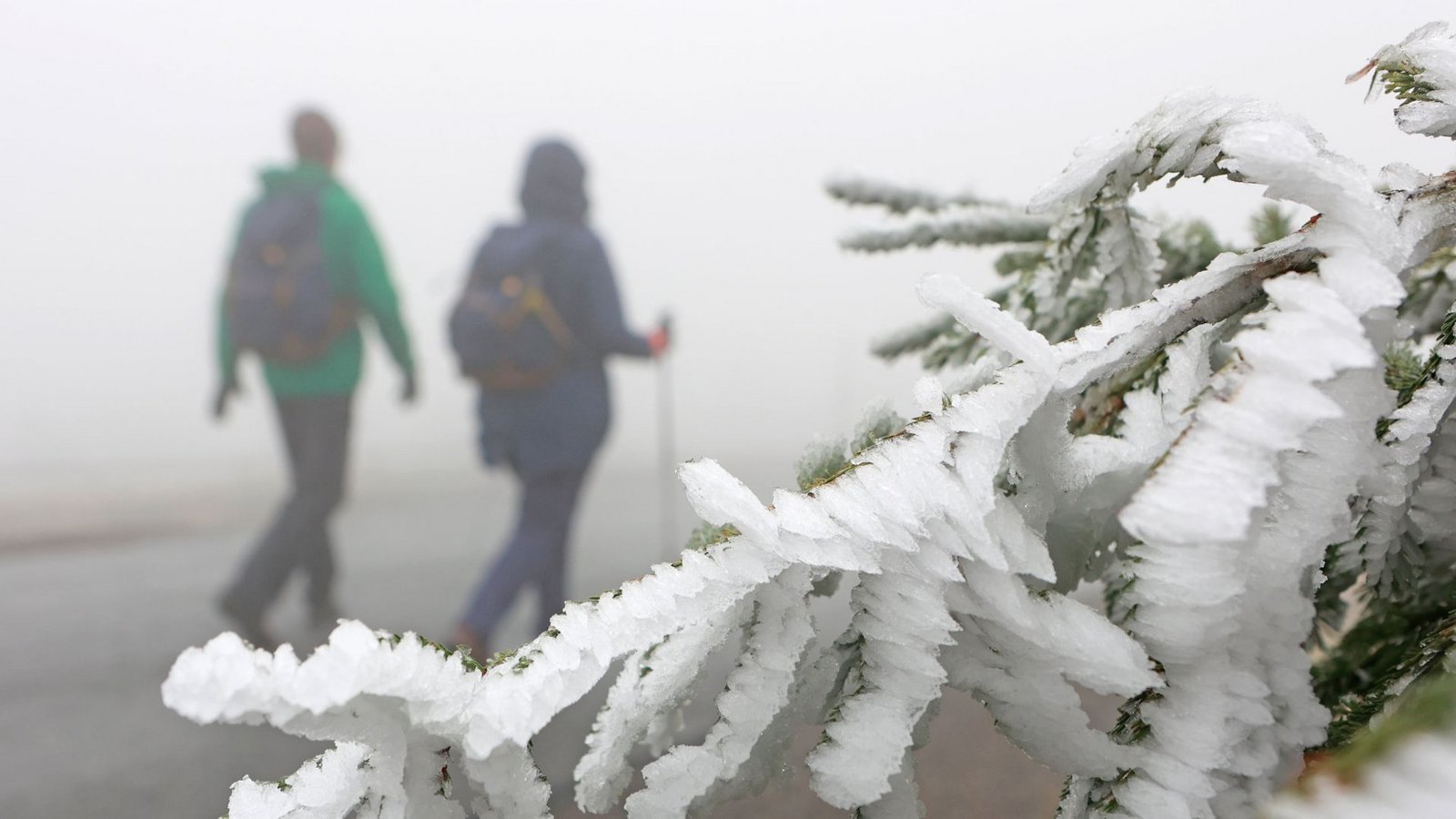Der erste Schnee und Frost kommen laut dem Deutschen Wetterdienst nach Stuttgart. (Symbolbild)Foto: dpa/Matthias Bein