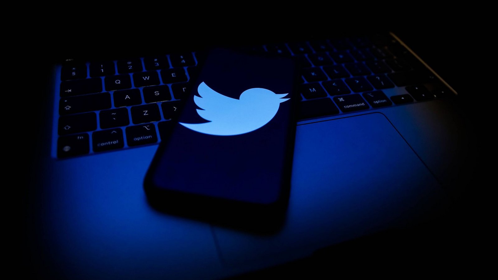 Wird Twitter zum Vorzeigeportal für freie Meinungsäußerung oder eine Plattform für ungefilterten Hass?Foto: IMAGO/NurPhoto/IMAGO/Jakub Porzycki