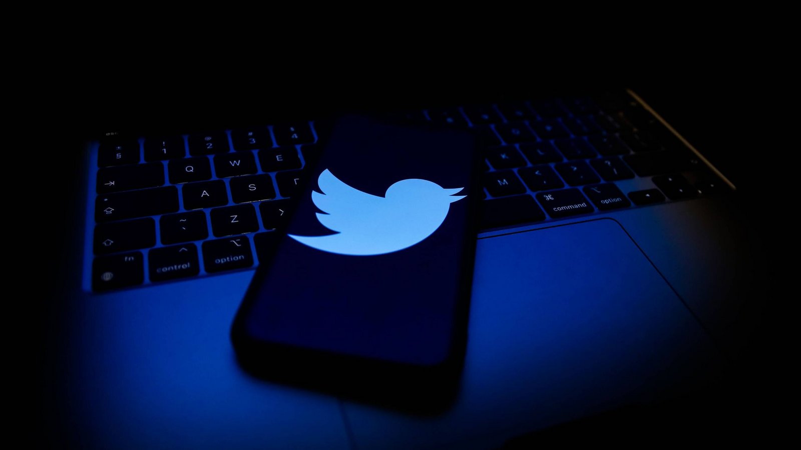 Wird Twitter zum Vorzeigeportal für freie Meinungsäußerung oder eine Plattform für ungefilterten Hass?Foto: IMAGO/NurPhoto/IMAGO/Jakub Porzycki