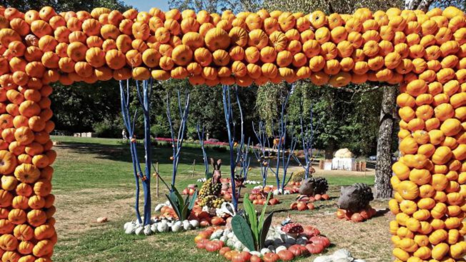 Bei tollem (Spät-)Sommerwetter bietet die Kürbisausstellung im Blühenden Barock in Ludwigsburg derzeit Genuss für alle Sinne. Foto: Gergen Bei tollem (Spät-)Sommerwetter bietet die Kürbisausstellung im Blühenden Barock in Ludwigsburg derzeit Genuss für alle Sinne. Foto: Gergen