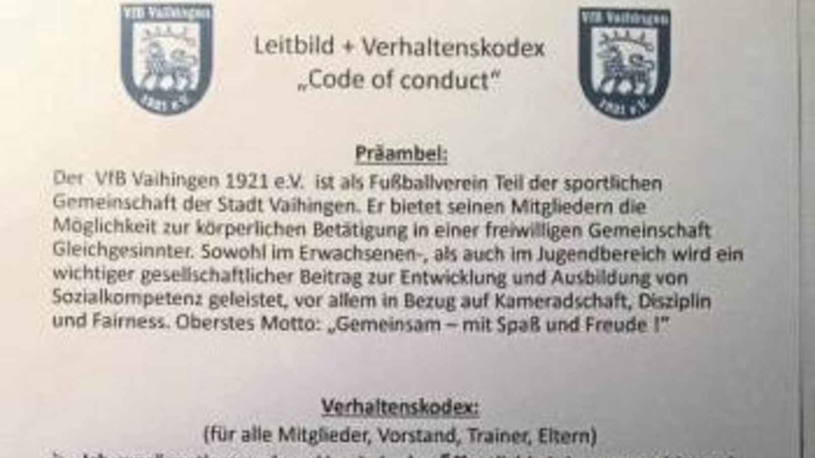 Eine Din-A4-Seite umfasst das Leitbild und der Verhaltenskodex des Fußball-B-Ligisten VfB Vaihingen. Foto: Screenshot/Facebook Eine Din-A4-Seite umfasst das Leitbild und der Verhaltenskodex des Fußball-B-Ligisten VfB Vaihingen. Foto: Screenshot/Facebook