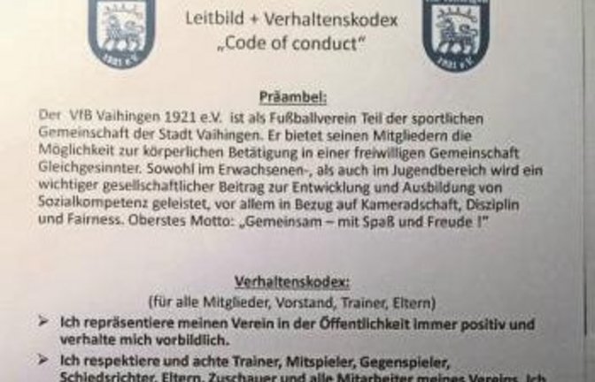 Eine Din-A4-Seite umfasst das Leitbild und der Verhaltenskodex des Fußball-B-Ligisten VfB Vaihingen. Foto: Screenshot/Facebook