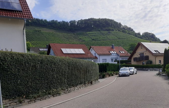 Das Wasser, das von den Weinbergen zusätzlich in die Kanäle der Strombergstraße fließt, sorgt bei starkem Regen für Überlastung.  <span class='image-autor'>Foto: Glemser</span>