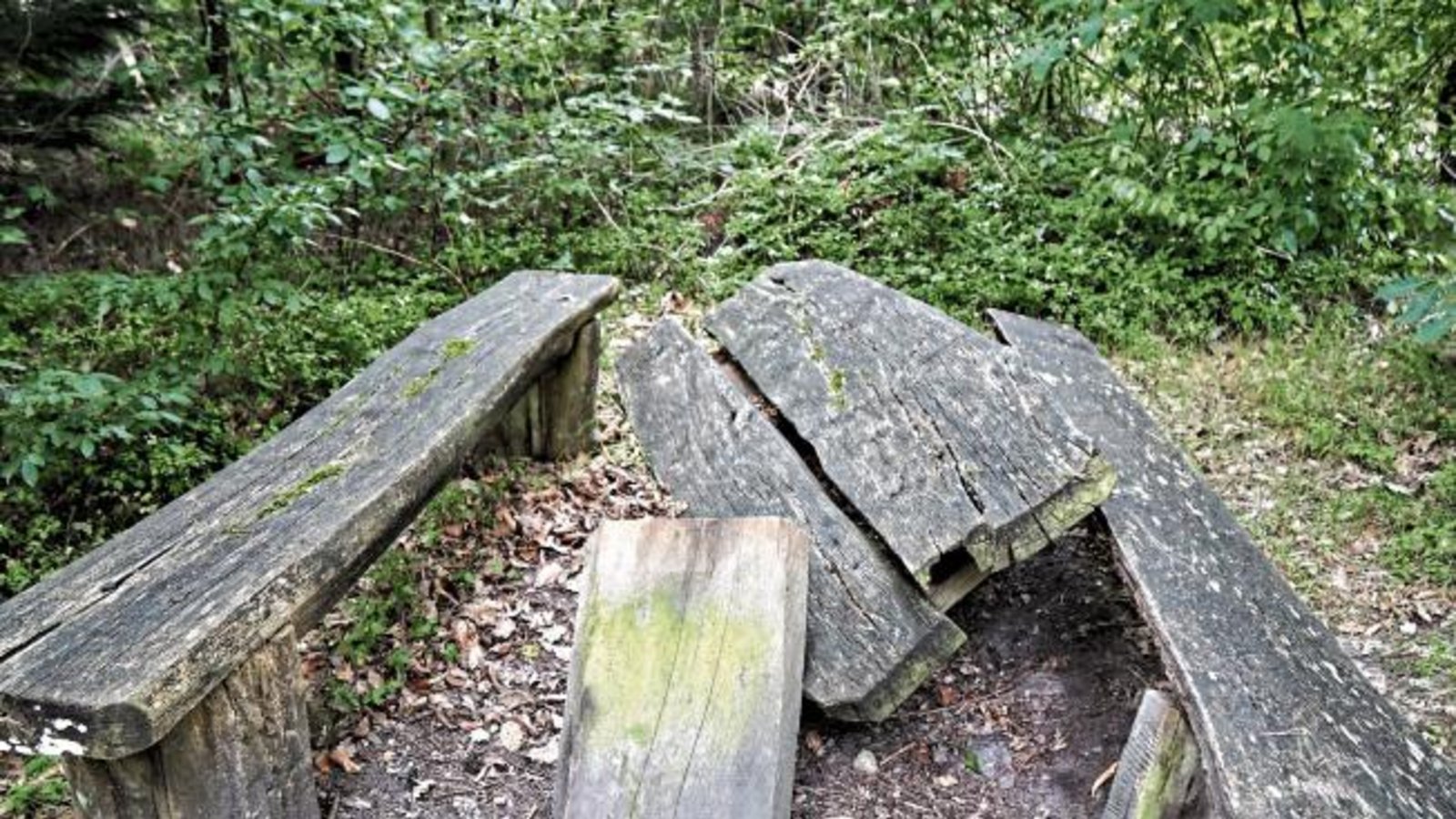 Rasten lässt sich derzeit auf der Ruhebank bei der Salzeiche auf dem Hamberg kaum, wie das Foto von Rudi Thalhäuser beweist.