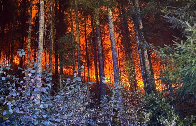 Das Feuer im Hürtgenwald wurde mutmaßlich von einem Menschen verursacht.<span class='image-autor'>Marius Daute/Feuerwehr Rottweil/dpa</span>