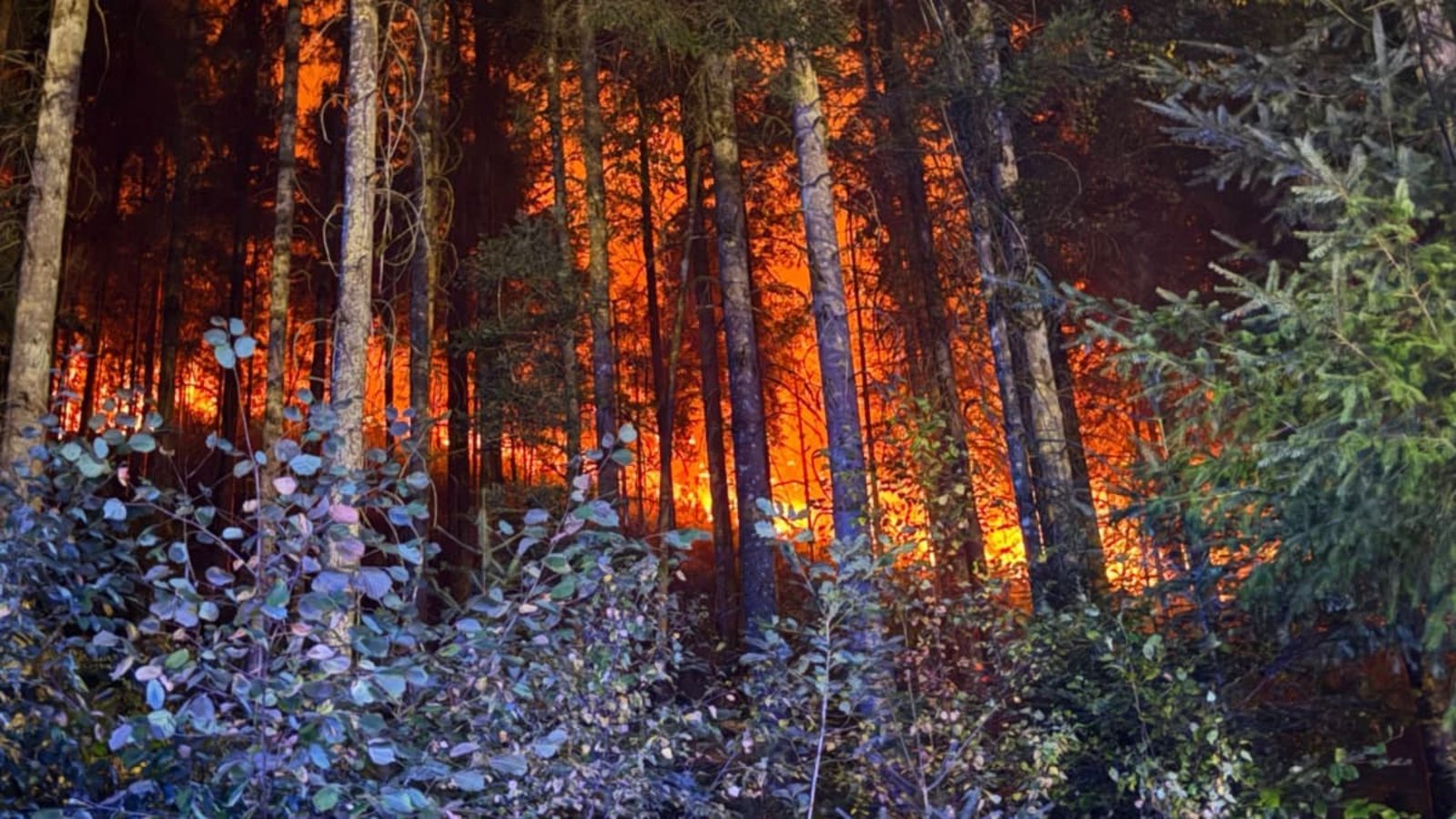 Das Feuer im Hürtgenwald wurde mutmaßlich von einem Menschen verursacht.Marius Daute/Feuerwehr Rottweil/dpa Das Feuer im Hürtgenwald wurde mutmaßlich von einem Menschen verursacht.Marius Daute/Feuerwehr Rottweil/dpa