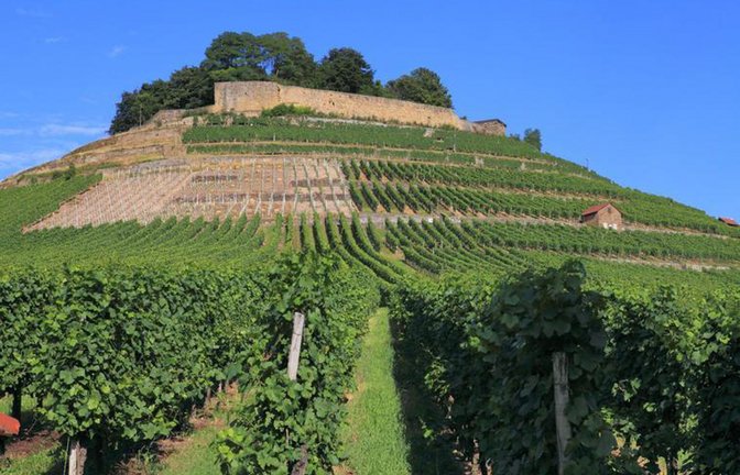 Die Burg Weibertreu in Weinsberg: Nur ein markanter und hübscher Anziehungspunkt für Touristen.<span class='image-autor'>Foto: mauritius images/Alamy</span>