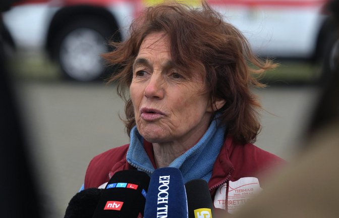 Die Rettung des gestrandeten Buckelwals in der Ostsee wird von einem dramatischen Notfall überschattet: Tierärztin Janine Bahr-van Gemmert musste ins Krankenhaus geflogen werden. Was steckt dahinter?<span class='image-autor'>Foto: picture alliance/dpa | Stefan Sauer</span>