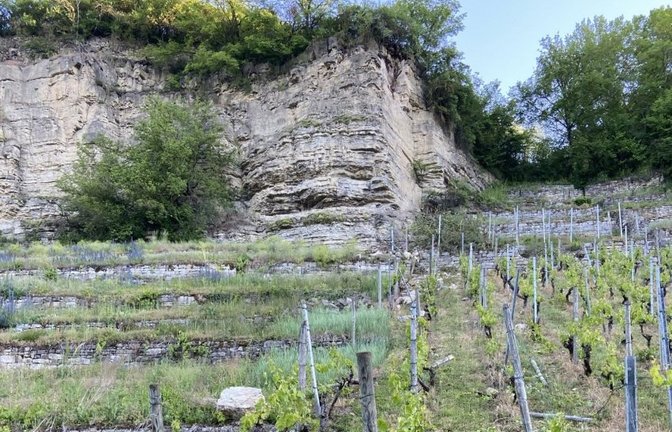 Felsabbrüche seien unvermeidbar, die Sperrung des Enztalradwegs für Wengerter unzumutbar, argumentiert die CDU.  Archivfoto: p