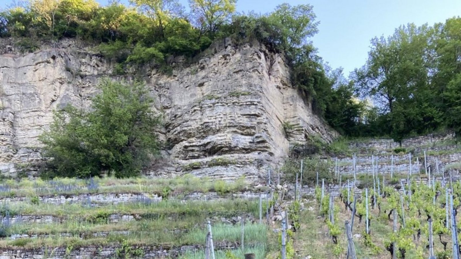 Felsabbrüche seien unvermeidbar, die Sperrung des Enztalradwegs für Wengerter unzumutbar, argumentiert die CDU.  Archivfoto: p