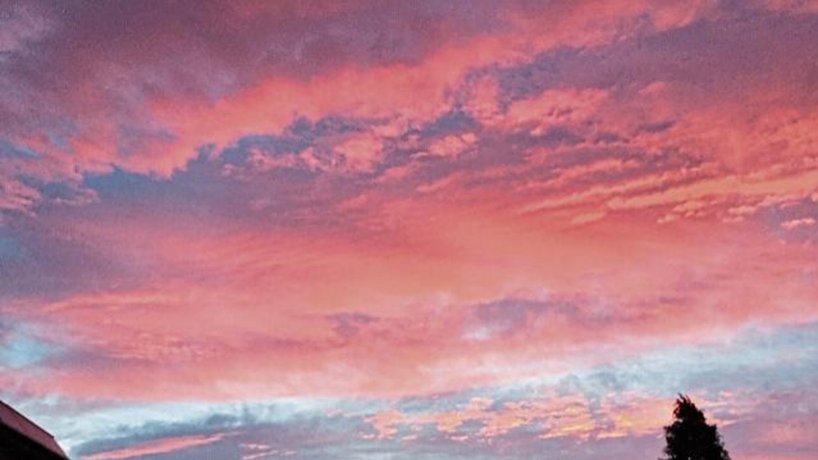 Danke für den „Sonntags-Sonnenaufgang über Roßwag“ an Werner Herz.