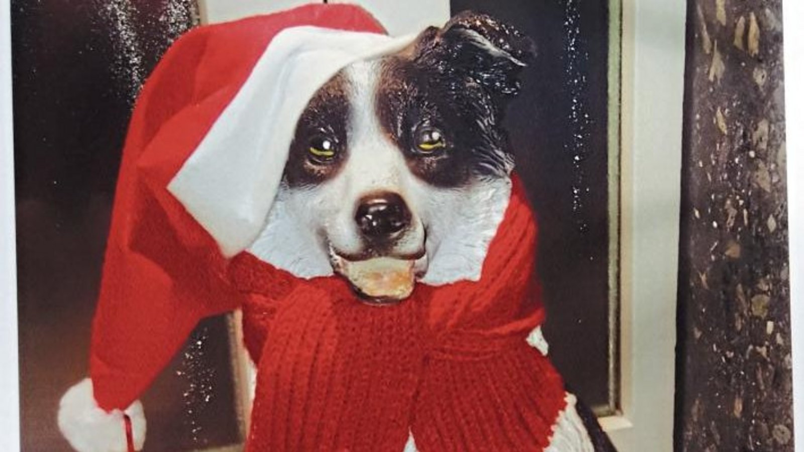 Isolde Albrecht aus Vaihingen hat ihren Haustürhund liebevoll selbst bestrickt. Der Bursche ist zwar nicht aus echtem Fleisch und Blut, sieht aber prima aus. Foto: p Isolde Albrecht aus Vaihingen hat ihren Haustürhund liebevoll selbst bestrickt. Der Bursche ist zwar nicht aus echtem Fleisch und Blut, sieht aber prima aus. Foto: p