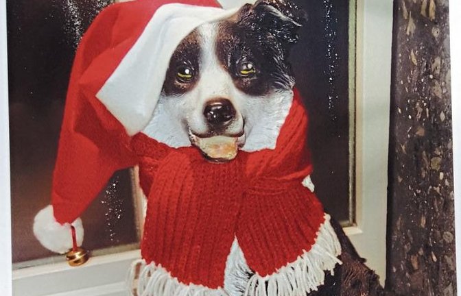 Isolde Albrecht aus Vaihingen hat ihren Haustürhund liebevoll selbst bestrickt. Der Bursche ist zwar nicht aus echtem Fleisch und Blut, sieht aber prima aus.  Foto: p